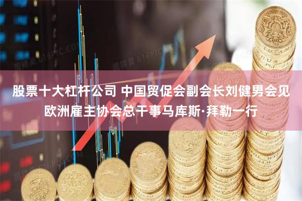 股票十大杠杆公司 中国贸促会副会长刘健男会见欧洲雇主协会总干事马库斯·拜勒一行