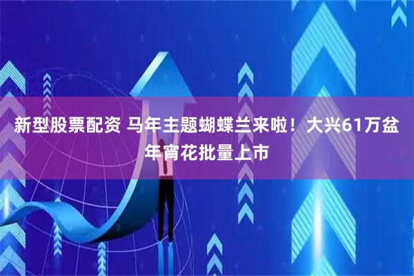 新型股票配资 马年主题蝴蝶兰来啦！大兴61万盆年宵花批量上市