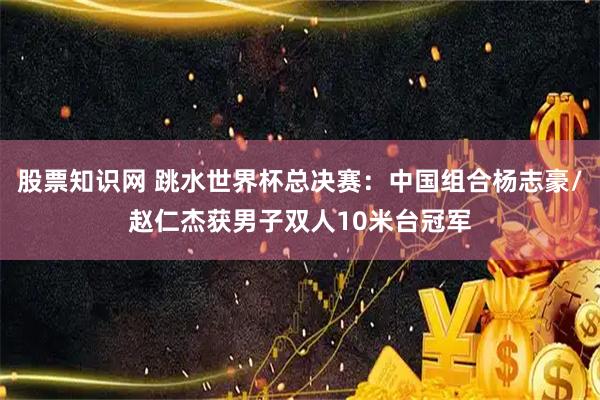 股票知识网 跳水世界杯总决赛：中国组合杨志豪/赵仁杰获男子双人10米台冠军