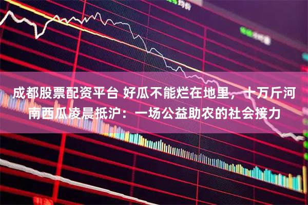 成都股票配资平台 好瓜不能烂在地里，十万斤河南西瓜凌晨抵沪：一场公益助农的社会接力